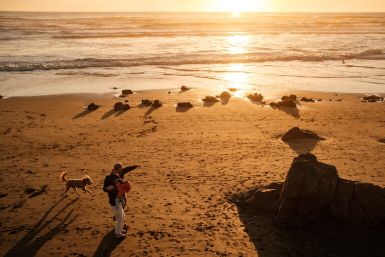 Dog friendly beaches in San Francisco. Leashed, Off-Leash, Swim Areas