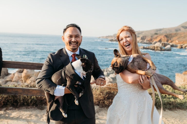 A guide to pet photographers in San Francisco Bay Area
