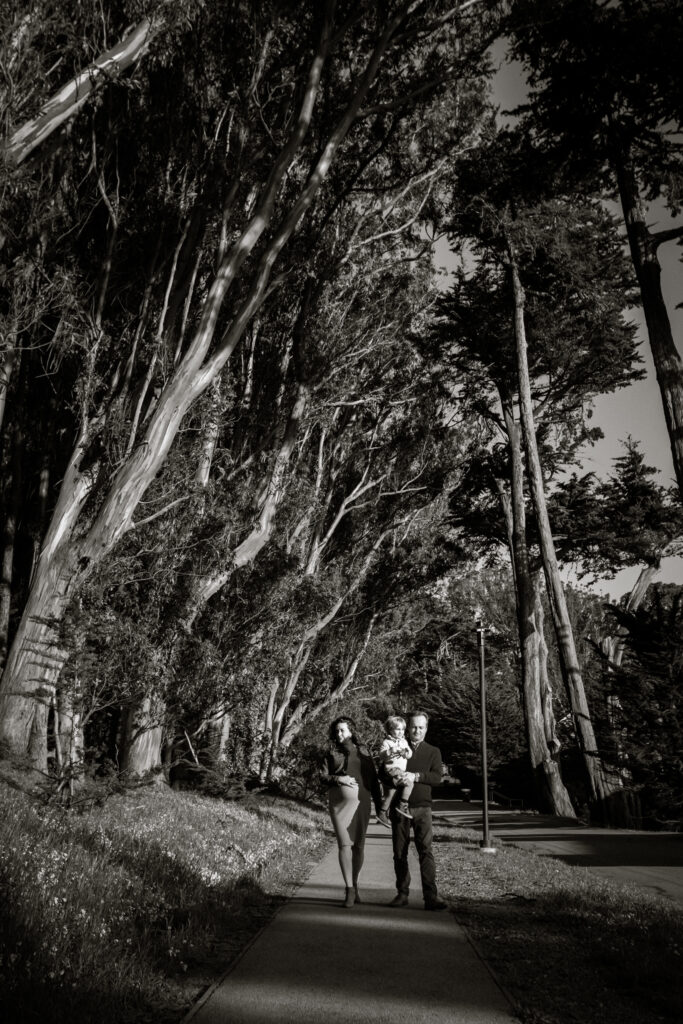 Dramatic eucalyptus trees arch over a family of three