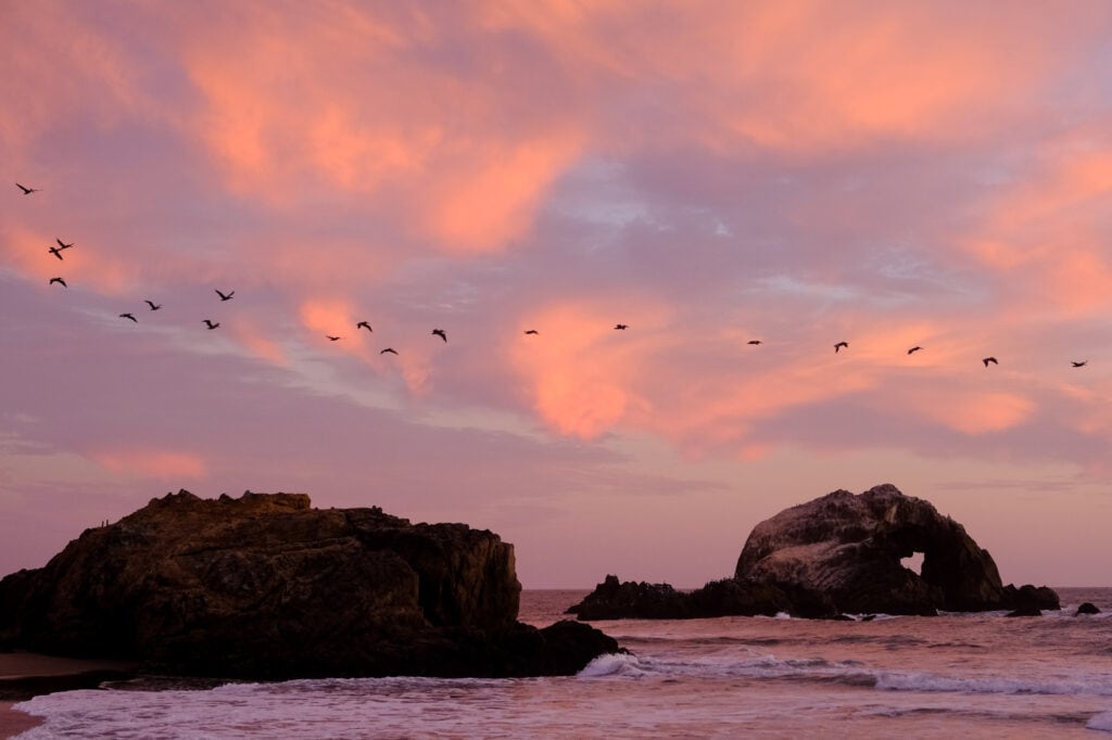 Pelicans in a line over rocks with colorful sunset.
