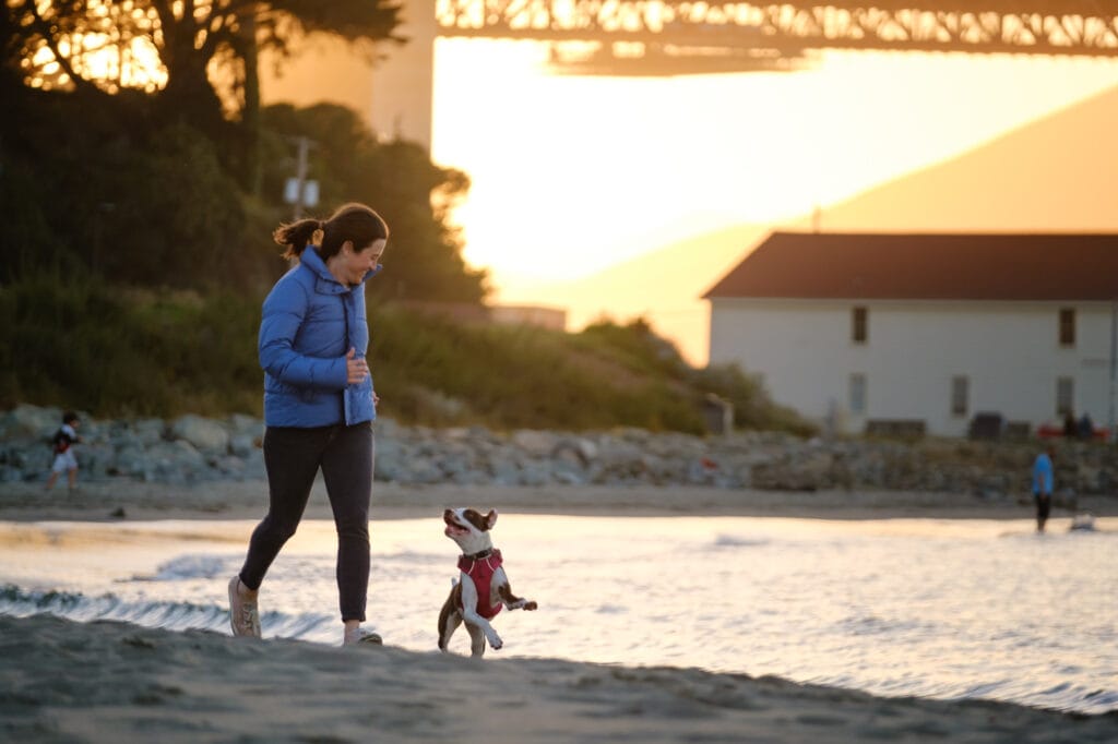 Woman runs with her dog on a beach at sunset.