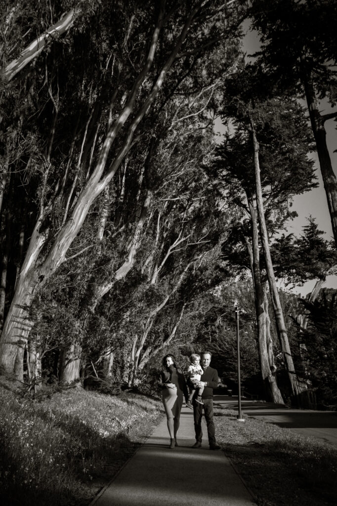 Giant Eucalyptus forest towers over family on path.