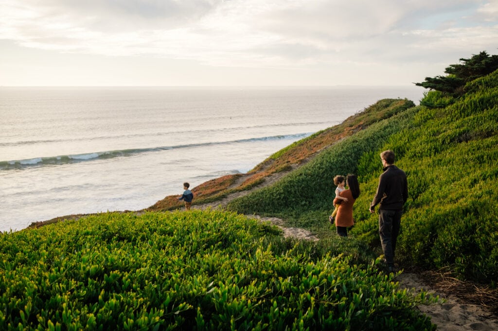 Family walks towards the ocean between dunes covered in ice plant.