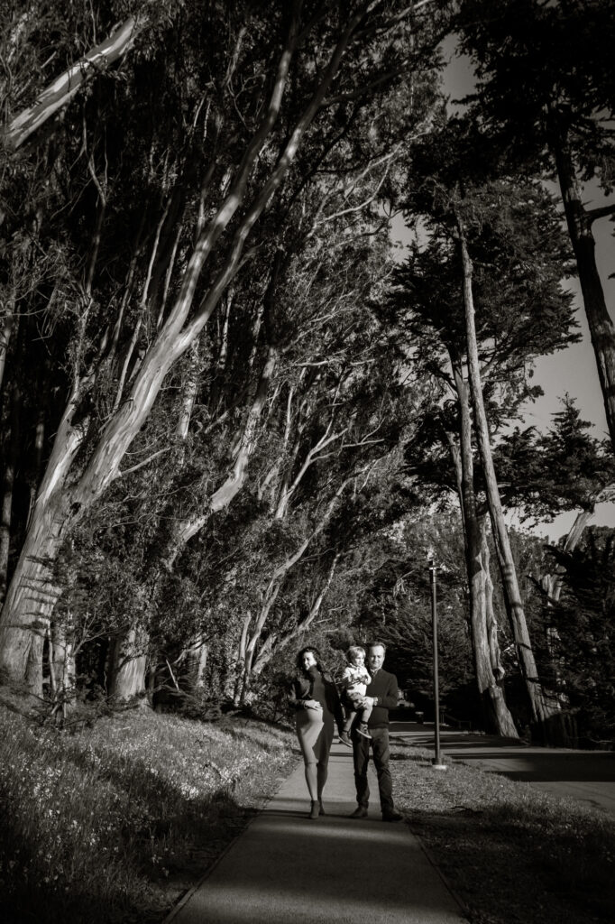 Two parents holding son walk down Lovers' Lane of San Francisco under aching eucalyptus trees.