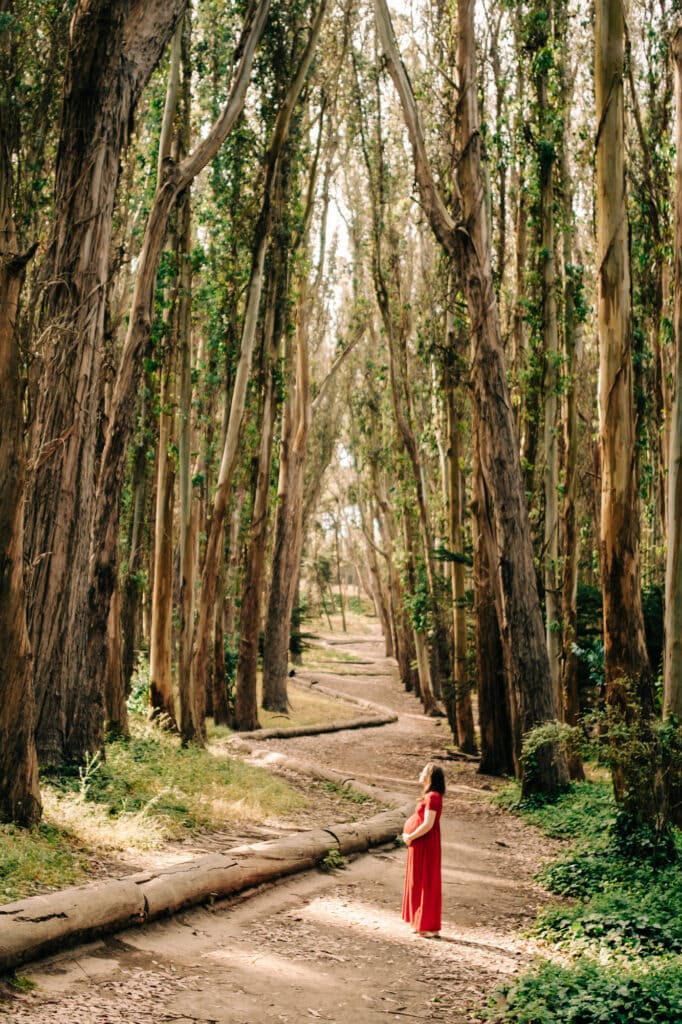 Pregnant woman holds her belly and looks towards sun beneath the Lovers' Lane eucalyptus forest.