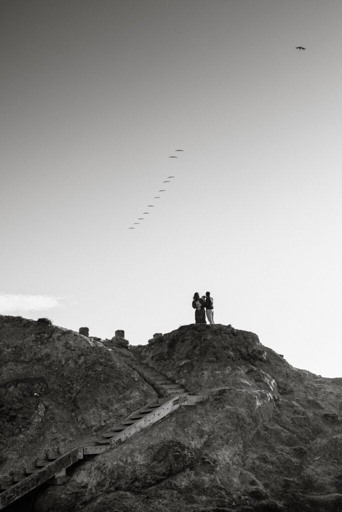 Dramatic black and white of family silhouetted on headland atop a staircase with pelicans flying overhead.