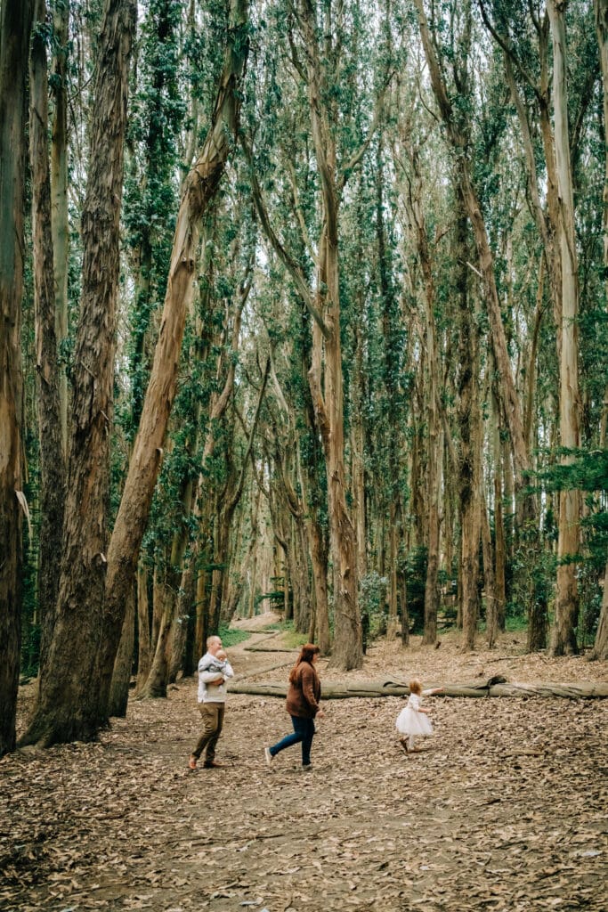 Family of four beneath eucalyptus forest walking along the Andy Goldsworthy Wood Line sculpture.