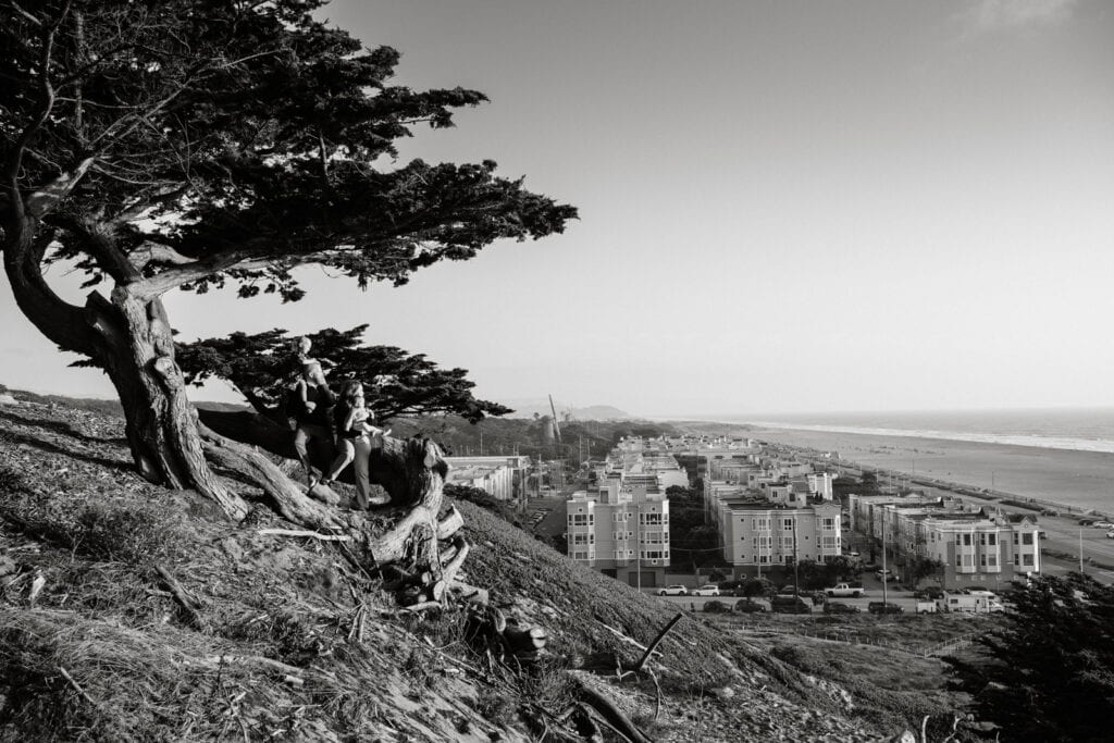 Black and white of family sitting beneath a gnarled coastal tree looking out over the famous Great Highway of San Francisco.