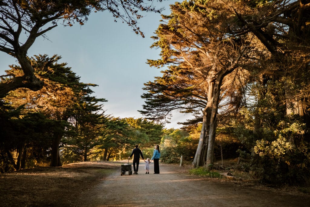 Family of four with a dog walk a path beneath towering Pacific coast trees.